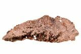 Natural, Native Copper Formation - Michigan #306096-1